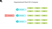 Affordable Organizational Chart Of A Company Slide