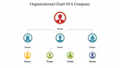 Incredible Organizational Chart Of A Company Presentation