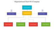 Creative Organizational Chart Of A Company PPT