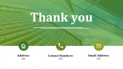 Green Theme Thank You PowerPoint Template and Google Slides