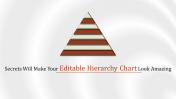 Use our Editable Hierarchy Chart Presentation Template