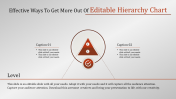 Editable Hierarchy Chart Themes PowerPoint Presentation