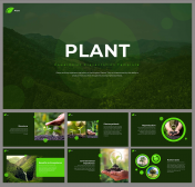 Green Colored Plant PowerPoint and Google Slides Templates