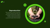 62277-Plant-PowerPoint-Template_04
