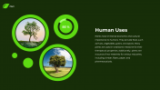 62277-Plant-PowerPoint-Template_07