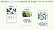 Editable Presentation Images For PowerPoint Templates