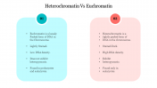 Affordable Heterochromatin VS Euchromatin Template