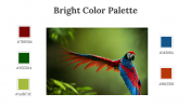 64339-Bright-Color-Palette_02