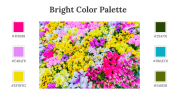 64339-Bright-Color-Palette_03