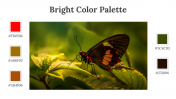 64339-Bright-Color-Palette_04