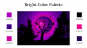 64339-Bright-Color-Palette_05