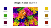 64339-Bright-Color-Palette_06