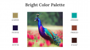 64339-Bright-Color-Palette_07