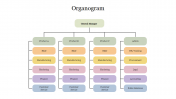Organogram PowerPoint Presentation Template & Google Slides