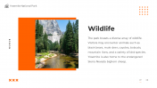 64414-Yosemite-National-Park_07