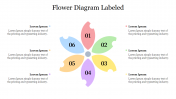 Attractive Flower Diagram Labeled Presentation Template
