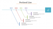 Editable Pectineal Line PowerPoint Presentation Template