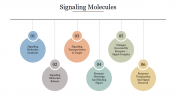 Creative Signaling Molecules PowerPoint Template Slide