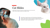 Innovative Cat Slides Templates PowerPoint Design