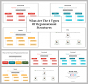 What Are The 4 Types Of Organizational Structures PPT