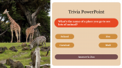 Attractive Trivia PowerPoint Presentation Template