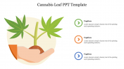 Cannabis Leaf PPT Template Presentation and Google Slides