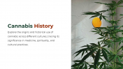 700186-Cannabis-PowerPoint-Template-Free_02