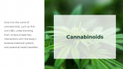 700186-Cannabis-PowerPoint-Template-Free_04