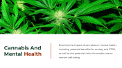 700186-Cannabis-PowerPoint-Template-Free_07