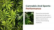 700186-Cannabis-PowerPoint-Template-Free_14