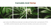 700186-Cannabis-PowerPoint-Template-Free_16