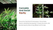 700186-Cannabis-PowerPoint-Template-Free_17