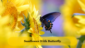 Eyecatching Sunflower With Butterfly Background Design