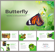 Creative Butterfly PowerPoint And  Google Slides Templates