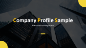 Company Overview PowerPoint And Google Slides Templates 