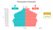 Demographic Infographic PPT Template Design