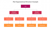 Flat Organizational Structure Example PPT and Google Slides