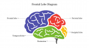Frontal Lobe Diagram PowerPoint Template & Google Slides