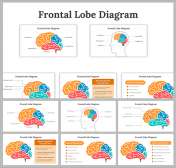 Frontal Lobe Diagram PowerPoint and Google Slides Templates