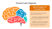 701921-Frontal-Lobe-Diagram_05