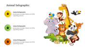 Editable Animal Infographic PowerPoint Presentation