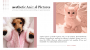 Creative Aesthetic Animal Pictures PowerPoint Presentation 