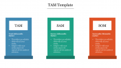 Sample of TAM Template PowerPoint Presentation Slide