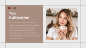 702278-Tea-PowerPoint-Template-Free-Download_12