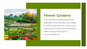 702644-Garden-PPT-Template-Free-Download_04