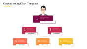 Best Corporate Org Chart Template For Presentation