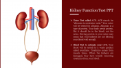 Kidney Function Test PPT Template for Google Slides themes