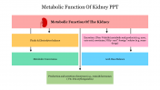 Metabolic Function Of Kidney PPT Google Slides Template