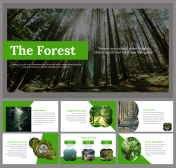 Elegant Forest Presentation and Google Slides Themes