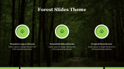 Awesome Forest Slides Theme PowerPoint Presentation